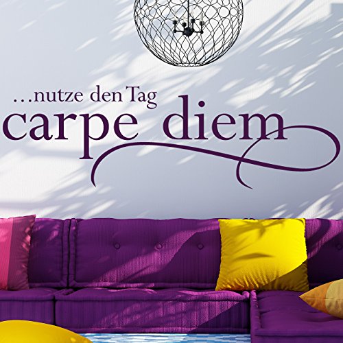 DESIGNSCAPE® Wandtattoo Carpe Diem ... nutze den Tag | Farbe: braun | Größe: klein (60 x 19 cm) von DESIGNSCAPE