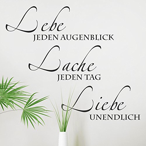 DESIGNSCAPE® Wandtattoo Lebe jeden Augenblick, Lache jeden Tag, Liebe unendlich | Farbe: dunkelgrau | Größe: klein (71 x 60 cm) von DESIGNSCAPE