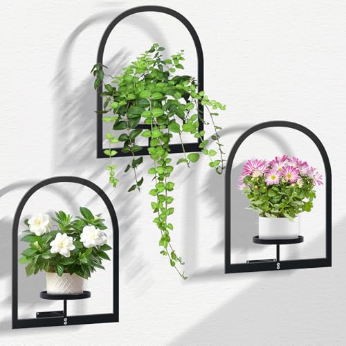 DETENE Metall Pflanzregal Schwarz Hängende Blumentöpfe Wandbehang Regal Wand für Blumen Pflanzen Garten Balkon Wohnzimmer Terrasse Hof (Rund) von DETENE