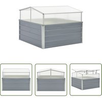 The Living Store Gewächshaus Grau Verzinkter Stahl 100×100×85 cm - Gartengewächshaus - Gewächshaus Metall - Pflanzenhaus - Blumenerzeugnisse von DEVENIRRICHE