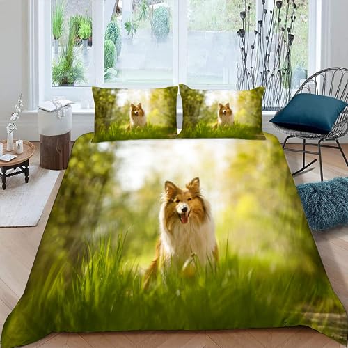 DEVOKE Shetland Schäferhund Bettwäsche Set 155x220cm Tier 3D Druck Bettbezug reißverschluss und 2 Kissenbezug 80X80cm Mikrofaser Bettwäsche Für Jungen Teenager und Mädchen von DEVOKE