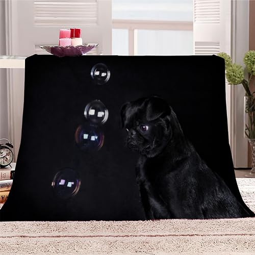 Mops Kuscheldecken 150x200 Erwachsene Flauschig Flanelldecke Tier Schwarz 3D Sommer Warm TV Decke Weich Plüsch Leichte Microfaser Tagesdecke Sofadecke Sofa Bett Wohndecke von DEVOKE