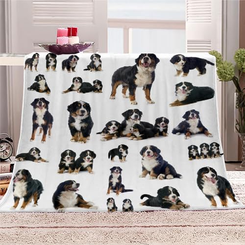 Weiche Mikrofaser Decke Berner Sennenhund Kuscheldecke Flauschige Warm Plüsch Flanelldecke 130x150cm 3D Tier Sofadecke Klimadecke Reisedecke Wohndecke Outdoor Decke für Teenager von DEVOKE