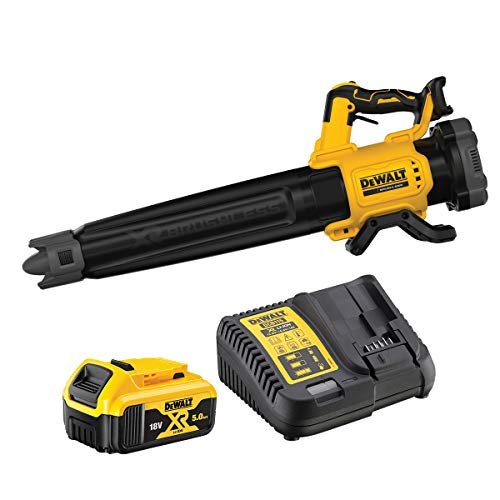 DEWALT axial sin escobillas XR 18V con 1 batería Li-Ion 5Ah, Multicolor, Buse concent. flux d'air - Avec batterie DEWALT axial sin escobillas XR 18V con 1 batería Li-Ion 5Ah, Multicolor, Buse concent. flux d'air - Avec batterie von DEWALT