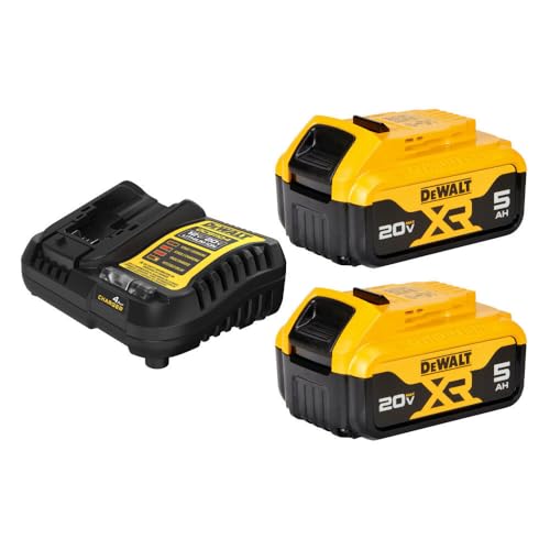 Dewalt dcb205–2 CK 20 V MAX * 5,0 Ah Starter Kit mit 2 Batterien, DCB205-2CK 0 wattsW, 20 voltsV von DEWALT