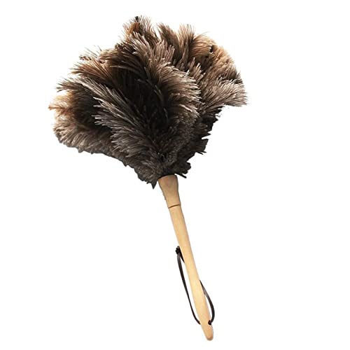 DEWIN Staubwedel, antistatischer Straußenfeder-Staubwedel mit Holzgriff, Wiederverwendbare Handstaubbürste, Haushaltsreinigungswerkzeug von DEWIN