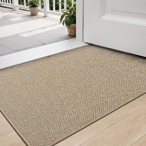 DEXI Fußmatte Innen 60 x 90cm, rutschfest Schmutzfangmatte, waschbar Fussmatte, Dünne Eingangstürmatte, Strapazierfähige Türmatte für Innenbereich, Beige von DEXI