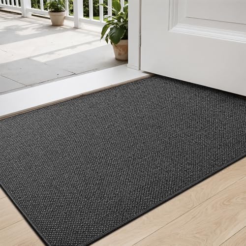 DEXI Fußmatte Innen 60 x 90cm, rutschfest Schmutzfangmatte, waschbar Fussmatte, Dünne Eingangstürmatte, Strapazierfähige Türmatte für Innenbereich, Dunkelgrau von DEXI