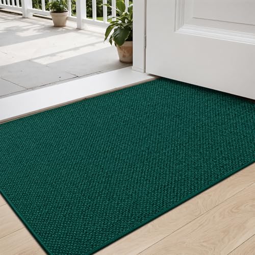 DEXI Fußmatte Innen 80 x 120cm, rutschfest Schmutzfangmatte, waschbar Fussmatte, Dünne Eingangstürmatte, Strapazierfähige Türmatte für Innenbereich, Grün von DEXI