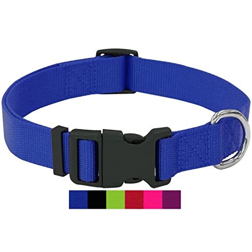 DEY - Premium Hundehalsband Nylon | Verstellbar | für Kleine u. Große Hunde | viele Farben u. Größen | Hund Katze Welpe | Hunde-Halsbänder | Katzen-Halsband | Welpen-Halsband | Blau, XS von DEY
