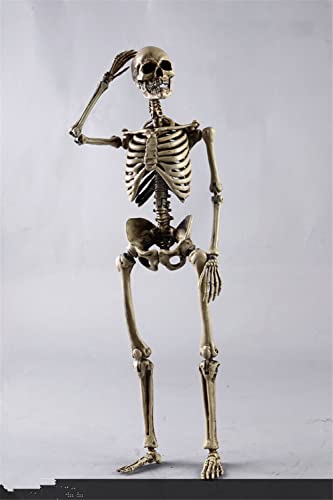 DEZARO 1/6 Scale Action Figure,The Human Skeleton Diecast Alloy Action Figure Body Scene Props Collection von DEZARO