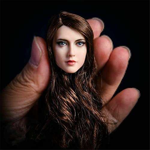 DEZARO 1/6 Scale Female Head Sculpt,European Girl Suntan Skin Planted Hair Head Carved for 12inch PH TBL JO Action Figure Body Collection (Blue Eyes and Brown Hair) von DEZARO