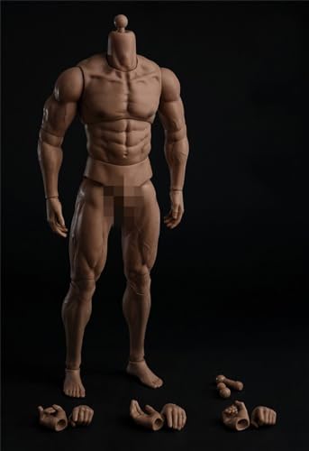 DEZARO 1/6 Scale Male Body, 12inches Male Durable Nude Action Figure Body Collection (L) von DEZARO
