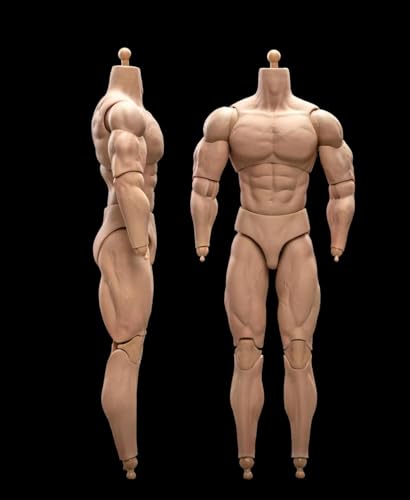 DEZARO 1/6 Scale Male Body,12inch Male Soldier Flexible Strong Muscular High Action Figure Body Collection (23-BD003) von DEZARO