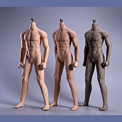 DEZARO 1/6 Scale Male Body,JIAOU 12inch Male Super Flexible Strong Muscle Seamless Action Figure Body Collection (JOK-11C, Normal Skin) von DEZARO