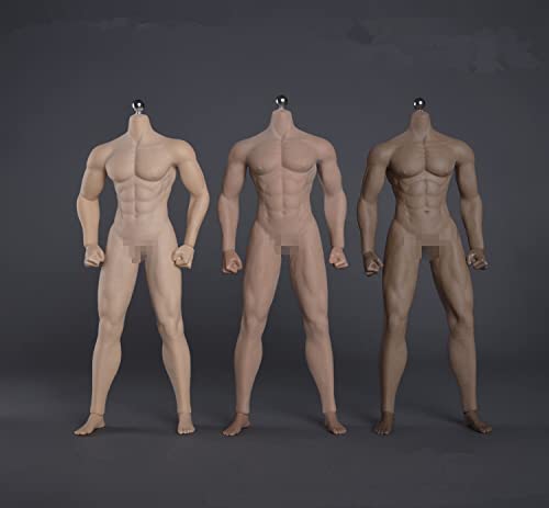 DEZARO 1/6 Scale Male Body,JIAOU 12inch Male Super Flexible Strong Muscle Seamless Action Figure Body Collection (JOK-12D, Black Skin) von DEZARO