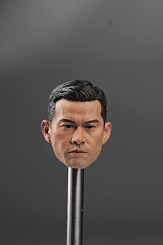 DEZARO 1/6 Scale Male Figure Head Sculpt,Asian Strong Man Head Carved for 12inch Soldier Action Figure Body (M) von DEZARO