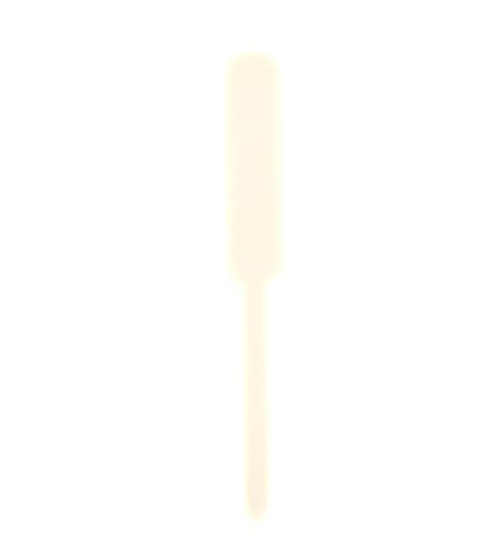 100 stücke Anlage Etiketten Gemüse Gartenarbeit Tags Kunststoff Pflanzen Boden Stecker for Unterscheiden Zur Erfassung von Pflanzennamen(Beige) von DFGBAPKBL