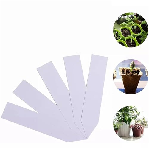 100PCS Garten Tag Anlage Zubehör Blumentöpfe Kunststoff Tags Kindergarten Marker Zur Erfassung von Pflanzennamen(S) von DFGBAPKBL