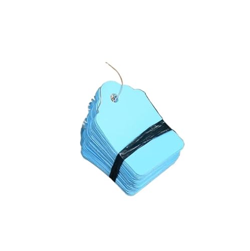 100Pcs Anlage Etiketten Mit Seil Pflanzen Hängen Tag Blume Topf Marker Zeichen Garten Dekoration Zur Erfassung von Pflanzennamen(Blue,6x4cm) von DFGBAPKBL
