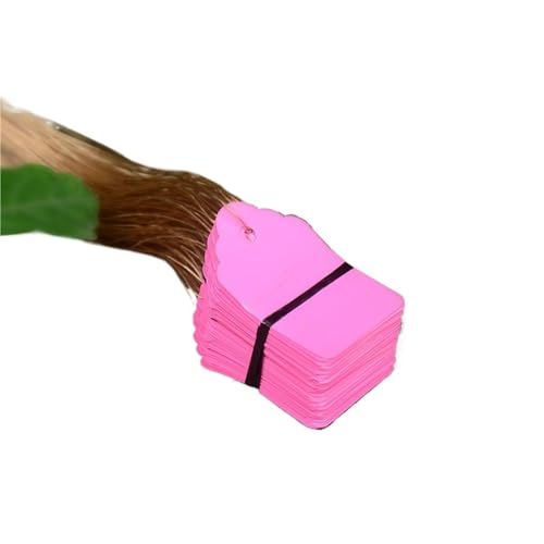 100Pcs Anlage Etiketten Mit Seil Pflanzen Hängen Tag Blume Topf Marker Zeichen Garten Dekoration Zur Erfassung von Pflanzennamen(Pink,3.6x2.5cm) von DFGBAPKBL