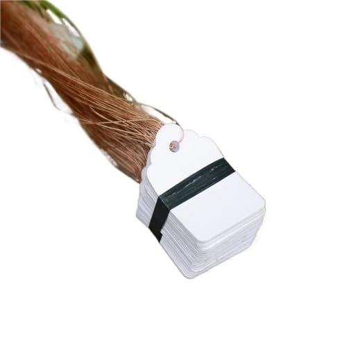 100Pcs Anlage Etiketten Mit Seil Pflanzen Hängen Tag Blume Topf Marker Zeichen Garten Dekoration Zur Erfassung von Pflanzennamen(White,6x4cm) von DFGBAPKBL