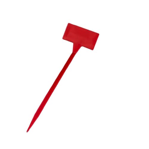 10Pcs Kunststoff Pflanze Etiketten Einfügen Bogen Garten Tag Kindergarten Blume Marker Werkzeug Zur Erfassung von Pflanzennamen(Red) von DFGBAPKBL