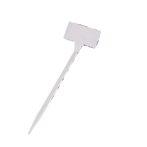 10Pcs Kunststoff Pflanze Etiketten Einfügen Bogen Garten Tag Kindergarten Blume Marker Werkzeug Zur Erfassung von Pflanzennamen(White) von DFGBAPKBL