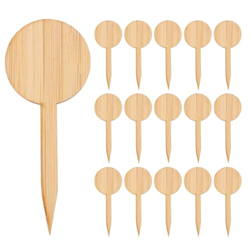 50Pcs Gartenarbeit Etiketten Pflanzen Sämling Marker Einfach Einfügen Boden Zur Erfassung von Pflanzennamen von DFGBAPKBL