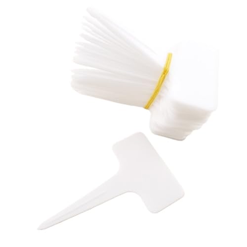Kunststoff Pflanze T Tags Etiketten for Blumentöpfe Marker Zeichen Kräuter Pflanzen Garten Werkzeuge liefert Zur Erfassung von Pflanzennamen(White) von DFGBAPKBL