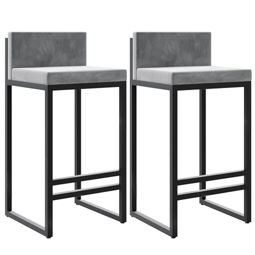 DFKGLCRR Barhocker Satz von 2 Counter Höhe Hocker Samt gepolstert Barhocker Armless Modern Bar Stuhl mit Metall Base für Esszimmer Küche Insel- 65cm Sitzhöhe (Grey,65cm) von DFKGLCRR