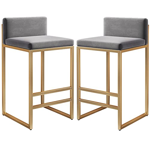 DFKGLCRR Samt gepolsterte Barhocker mit niedrigem Rücken, Metallbeine und Fußstütze 26/30in hohe Barhocker für Esszimmer Küche Zähler, 300lbs (Gray 2ps,75cm/29.6in) von DFKGLCRR
