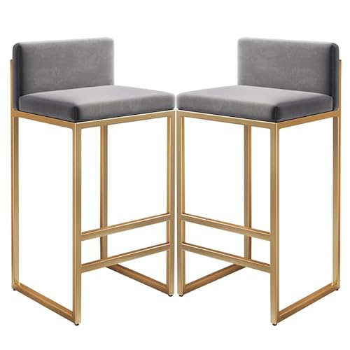 DFKGLCRR Zähler Höhe Hocker gepolsterte Barhocker Satz von 2, Samt Küche Zähler Barhocker, Low Back Dining Bar Stühle für Insel, Pub, industriellen Stil (Xy-05,75cm(29.5'')) von DFKGLCRR