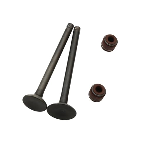 2 stücke C50 Einlassventile Und Ventile Fit for CD50 139FMB 4T Motorrad Motor Teile von DFVhji