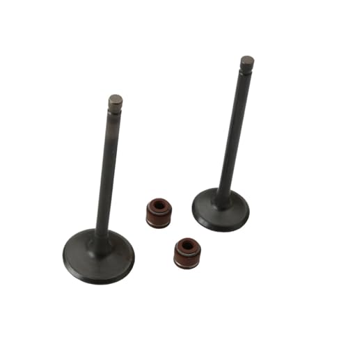 2PC Einlass und Passform for Super 8 125 Visar125i CK125 14711-KUDU-900 14721-KUDU-900 von DFVhji