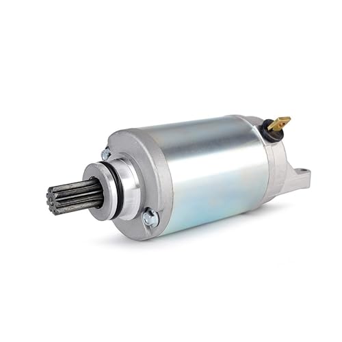 31100-11D00-000 Anlasser for GSF250 VS S GSF250 N ZM P NP ZP R NR GSX250 Über RCH H GSXR250 CJ 31100-11D00-000 Anlasser for GSF250 VS S GSF250 N ZM P NP ZP R NR GSX250 Über RCH H GSXR250 CJ von DFVhji