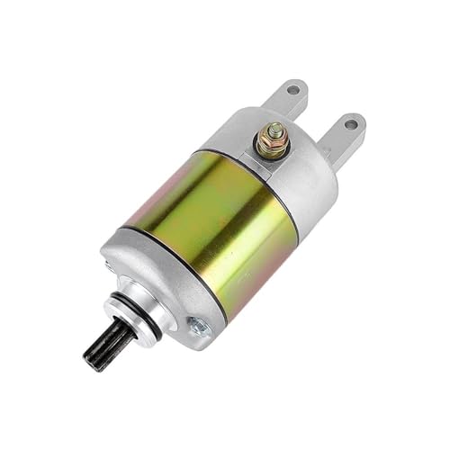ATV-Starter Elektrischer Motor Starter Motor for Bighorn 260 300 400 2x4 4x4 ATV UTV Big Daddy 260 ATV 4HC-81890-00 von DFVhji
