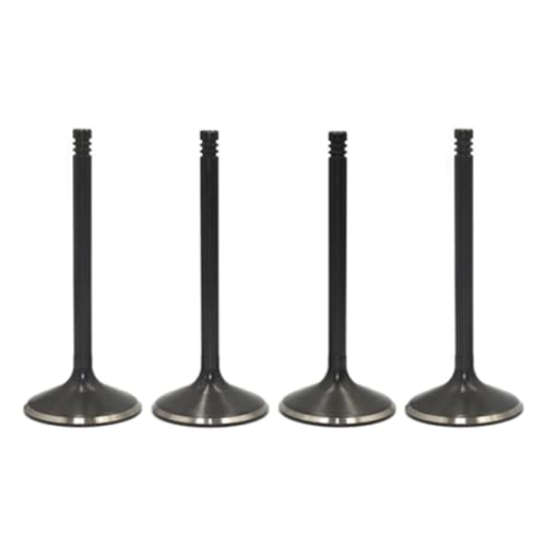 Ansaugstutzen-Kit for Motorradmotorteile, passend for Roadster Spyder GS RS RSS RT RTS ST STS SE5 SM5 Modelle 2008–2015(4Pcs Intake Valve) von DFVhji