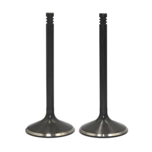 Motorrad ATV Motor Zubehör Intake Stem Kit Fit for Quest500 4X4 2002to2004 Quest650 4X4 2002-2004(2Pcs Intake Valve) von DFVhji