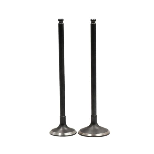 Motorrad-Einlass- und Auslassventilschaft-Kit for YZF R6R R6 RaceBase YZF R6 R6 YZF R6 R6 50. Jahrestag Bearbeiten(1 Pair) von DFVhji