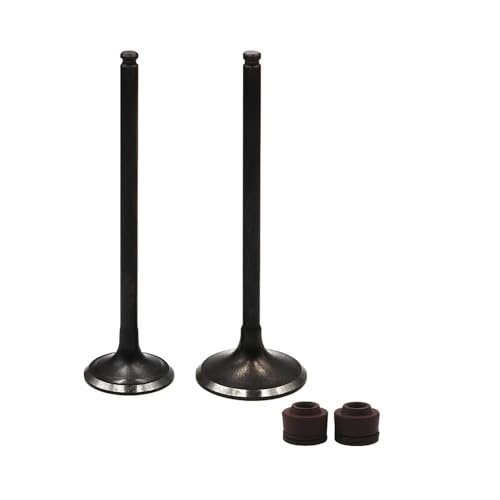 Motorrad Intake Und Vorbauten for AX-1 NX250 1988-1996 XL250 1996 for AN250 Twincam 08-15(1 Pair) von DFVhji