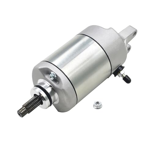 Motorrad Motor Starter Motor for ATC250 ATC250ES Großen Roten TRX250 TRX300 TRX ATC 250 300 31200-HA0-773 von DFVhji