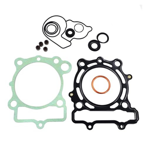 Motorrad Motor Teile Öl Zylinder Kit for KXF250 KXF 250 2009 2010 2011 2012 2013 2014 2015 2016 von DFVhji