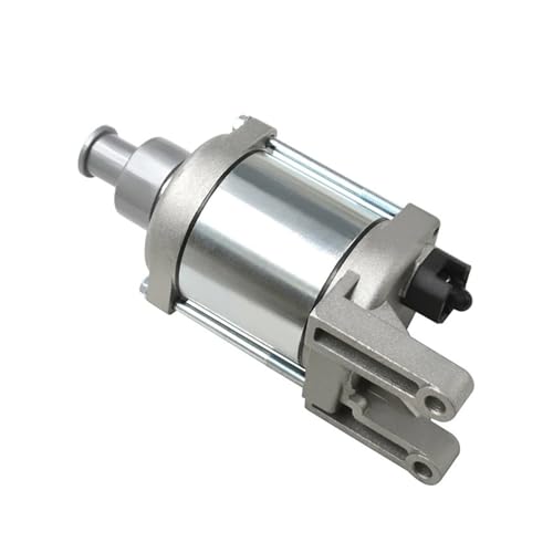 Motorrad Motor Teile Starter Motor for YS250 250 Blueflex XTZ250 Lander Tenere 2013-2015 2016 2017 44C-H1890-10 von DFVhji