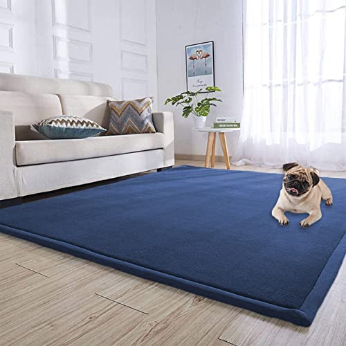 DG Catiee Korallenfarbene Samtteppiche, große Spielmatte, rutschfeste Krabbelmatte, Bodenpolster, Teppich, Tatami, Yoga, Haustiermatte für Wohnzimmer, Schlafzimmer, Küche (80 x 150 cm, Marineblau) von DG Catiee