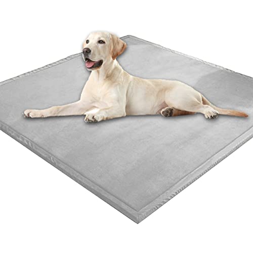 Extra große Hundematratze, weicher Korallen-Samt, Haustiermatte, Anti-Angst, XXL-Hundekissen, Katzen-Schlafmatte für kleine, mittelgroße und große Hunde (100 x 100 cm, grau) von DG Catiee