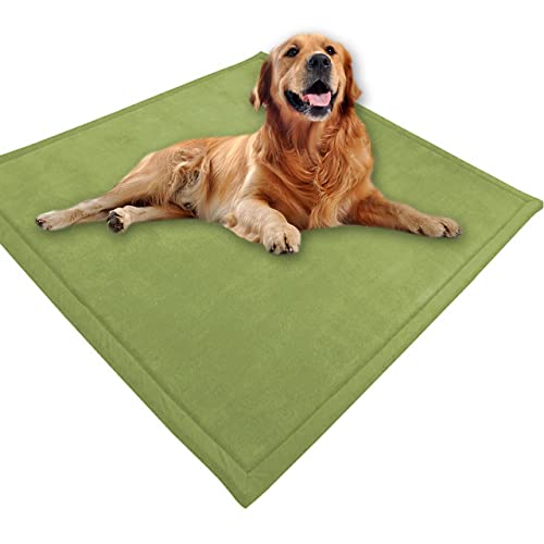 Großes Hundebett, Haustiermatte, weicher warmer Korallensamt, rutschfester Teppich, beruhigend, für den Innenbereich, waschbar, Hundekissen, Bodenmatte (100 x 60 cm, grün) von DG Catiee