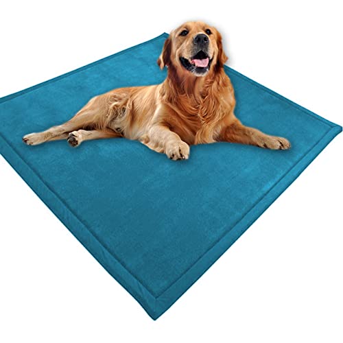 Großes Hundebett, Haustiermatte, weicher warmer Korallensamt, rutschfester Teppich, beruhigend, für den Innenbereich, waschbar, Hundekissen, Bodenmatte (90 x 70 cm, blau) von DG Catiee