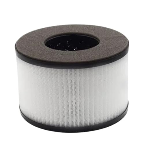 Ersatz-True-H-Aktivkohle-Kombifilter, Kompatibel Mit PARTU, BS-03, BS-01(BS-01) von DGCYAYTE