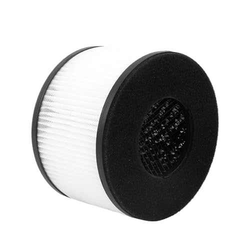 Ersatz-True-H-Aktivkohle-Kombifilter, Kompatibel Mit PARTU, BS-03, BS-01(BS-03) von DGCYAYTE